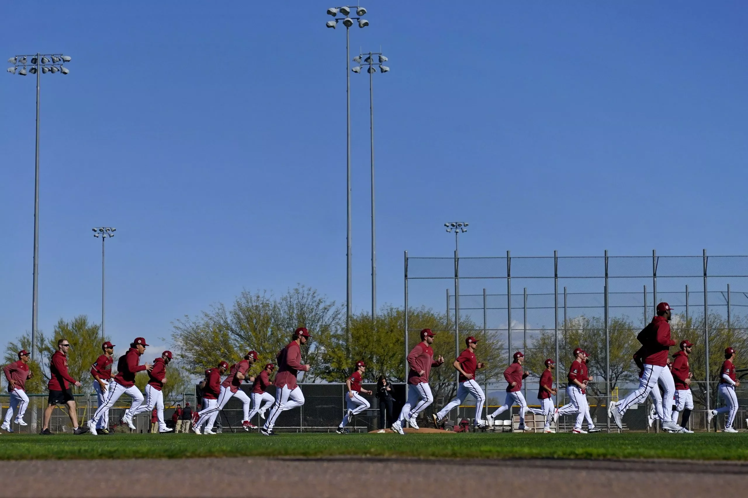Diamondbacks Baseball
