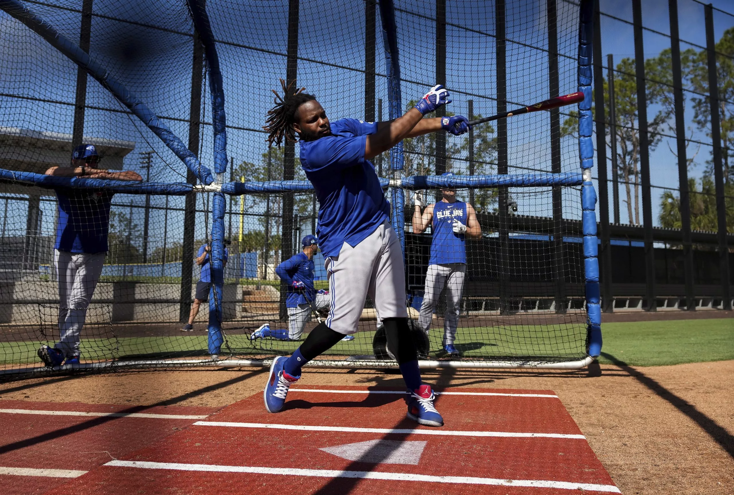Blue Jays Baseball