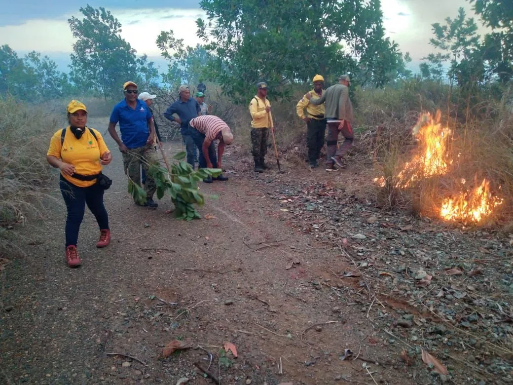 Incendio forestal