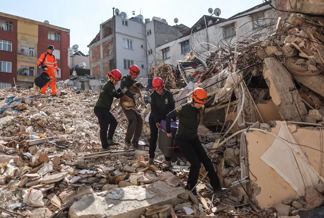 Animal rescue operations in Hatay after a powerful earthquake