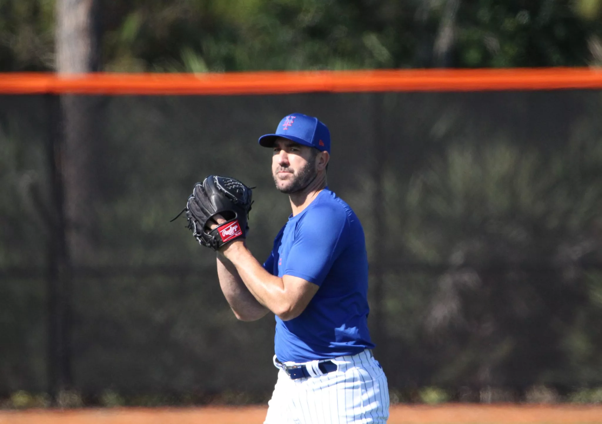 Verlander