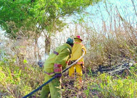 Brigadas forstales apagan los puntos calientes en parque
