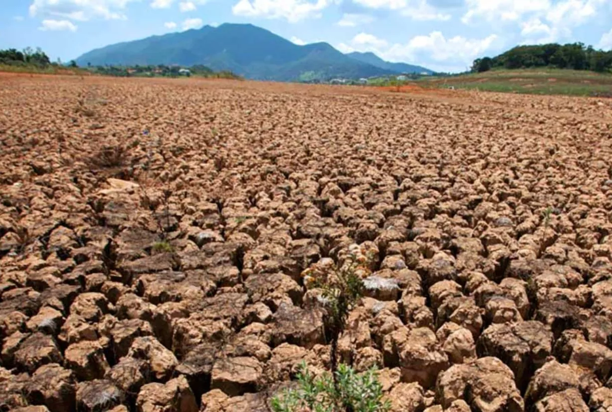 La falta de lluvias ha dañado miles de tareas cultivadas en el país .  AGENCIA FOTO