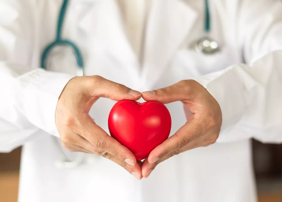 Cardiovascular Disease Doctor Or Cardiologist Holding Red Heart