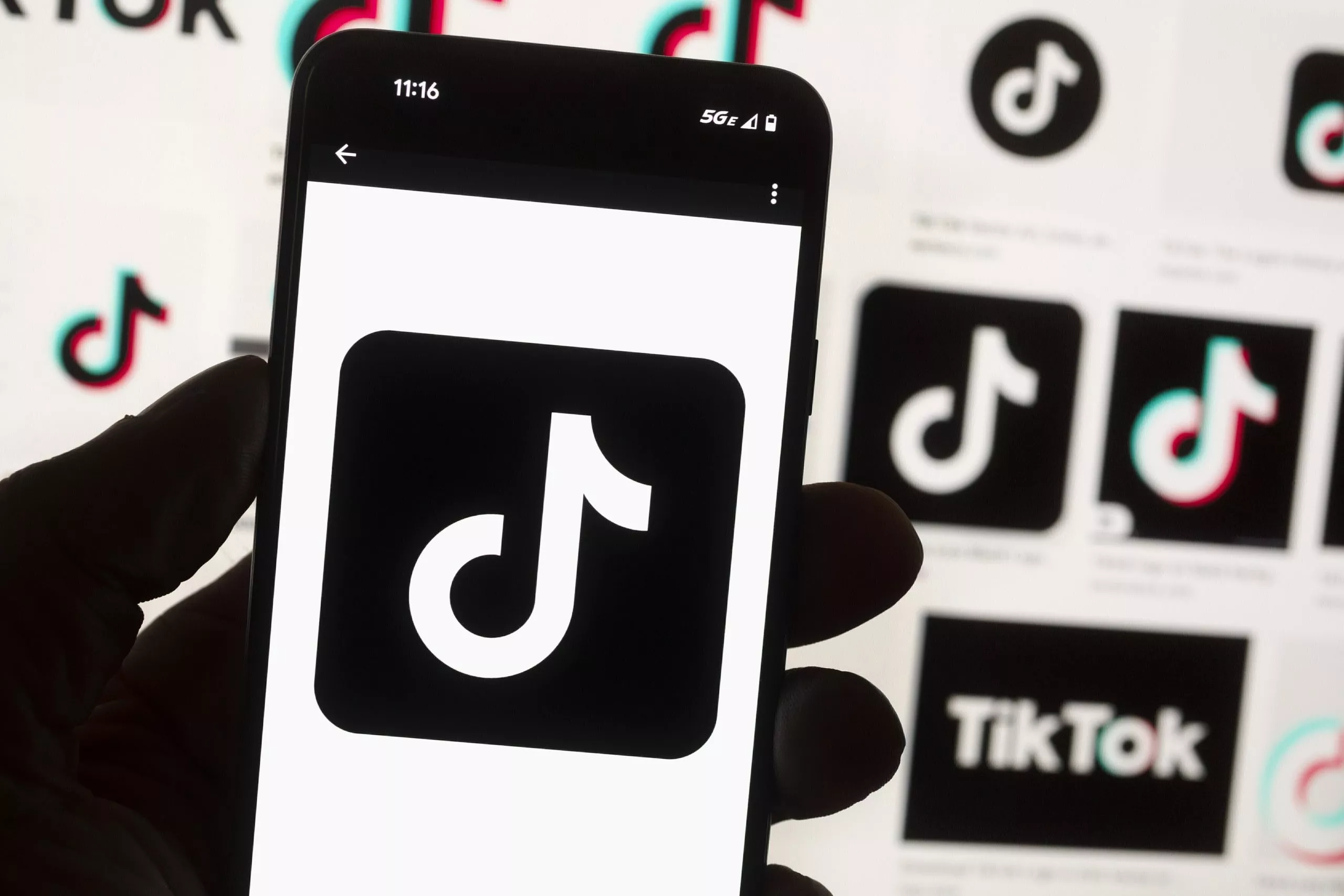 Biden TikTok Ban