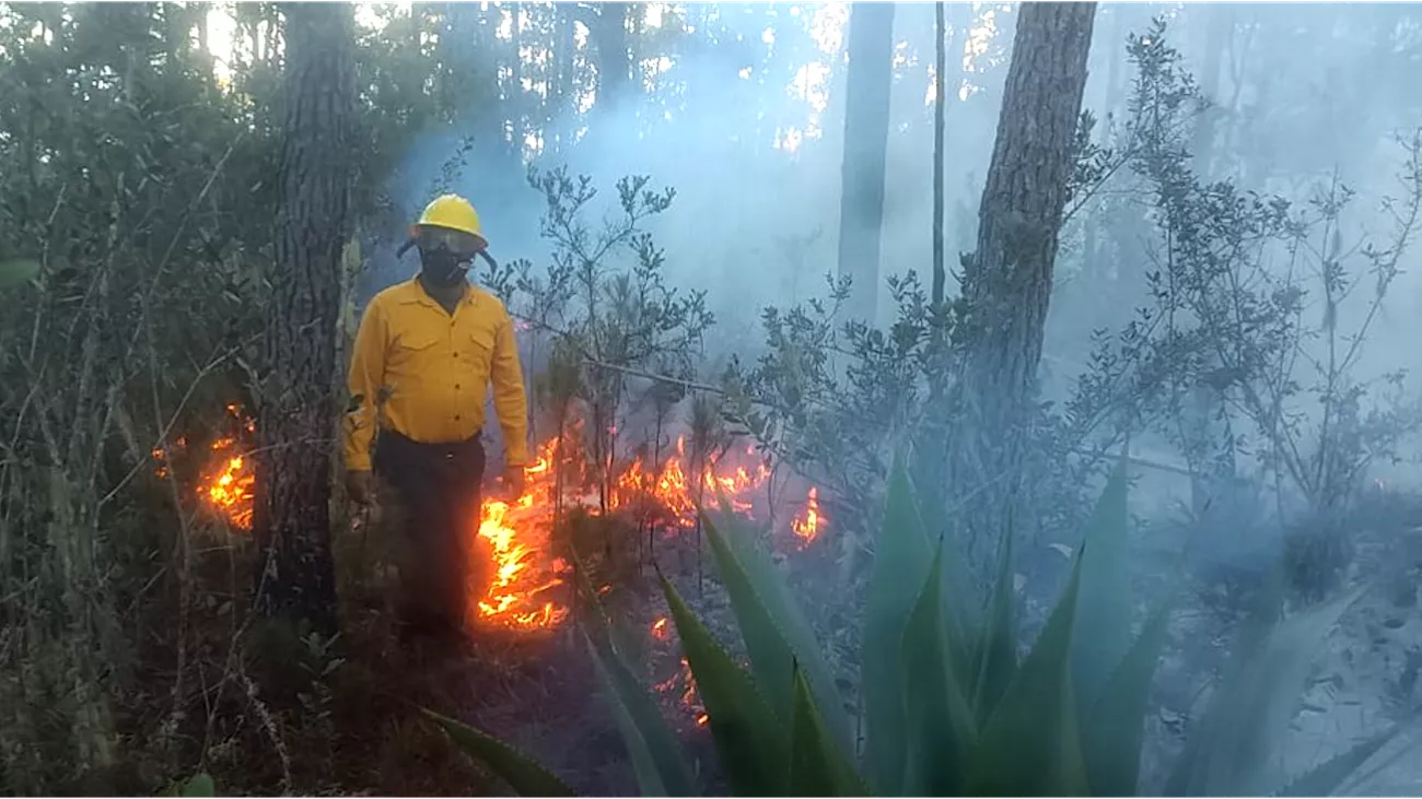 Incendio Forestal