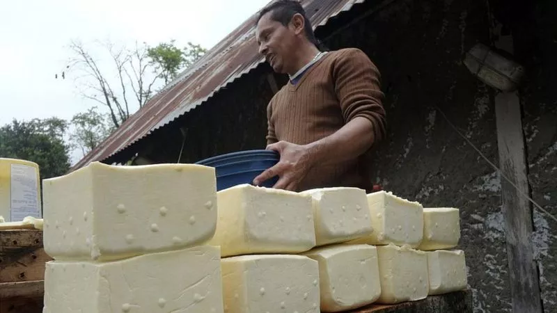 Queso-Venezuela