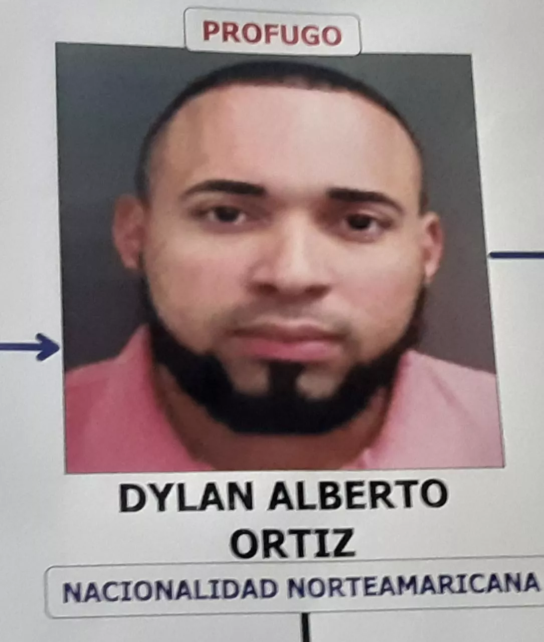 Dylan Ortiz