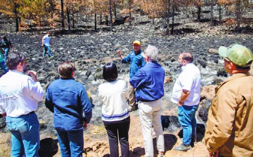 El presidente Abinader  recorrió zonas quemadas  Valle Nuevo.