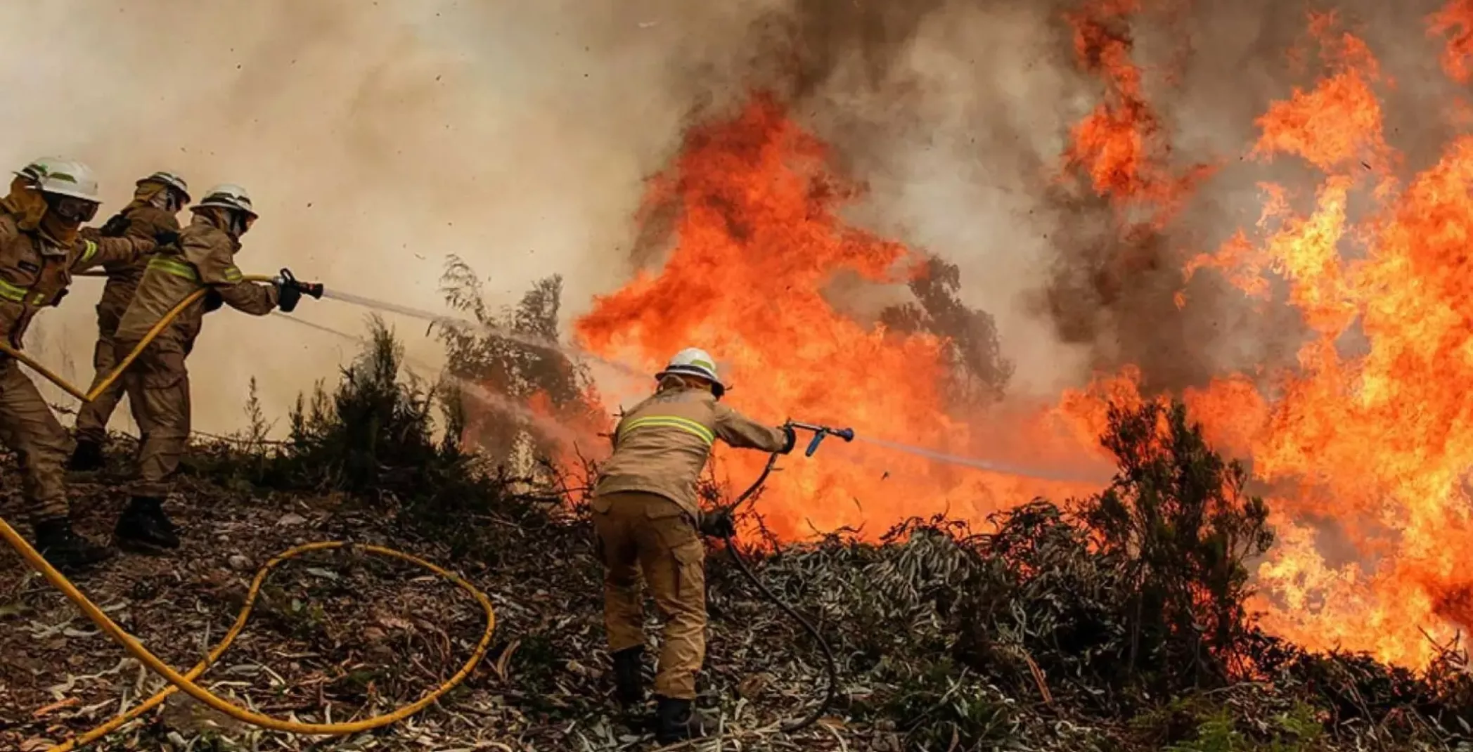 Las brigadas del Ministerio de Medio Ambiente destinadas a sofocar los incendios han recibido asistencia de la Fuerzas Armadas.