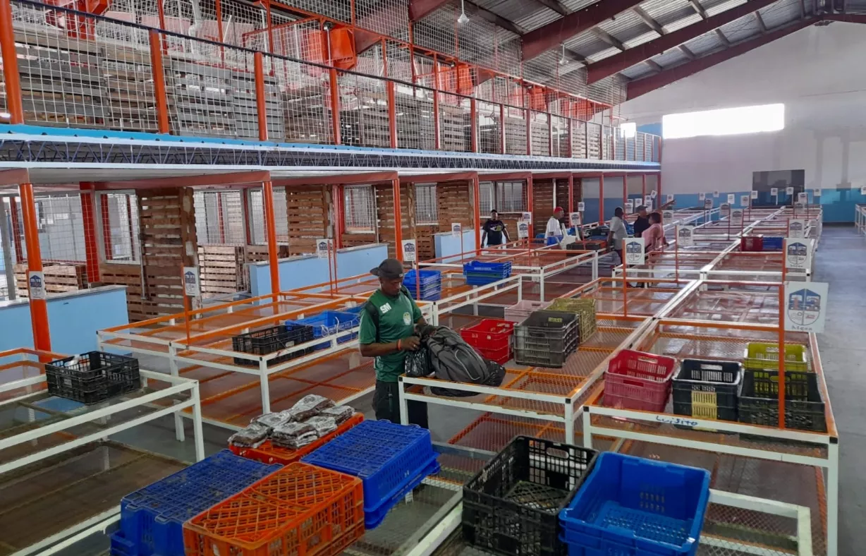 Nuevo centro de acopio  facilitará  a buhoneros vender sus mercancías  en   mejor condición.