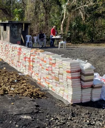 Más de 2,456 kilogramos de narcóticos  quemados.