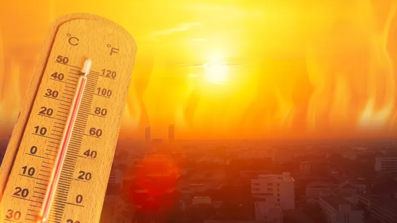 Ola de calor