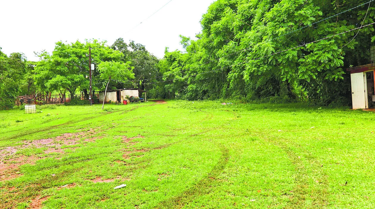 Terreno donde se quiere instalar la planta de reciclaje por la empresa Oakhouse en el sector El Aguacate en el municipio de Pedro Brand.  Arlenis castillo