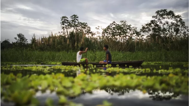 Amazonia