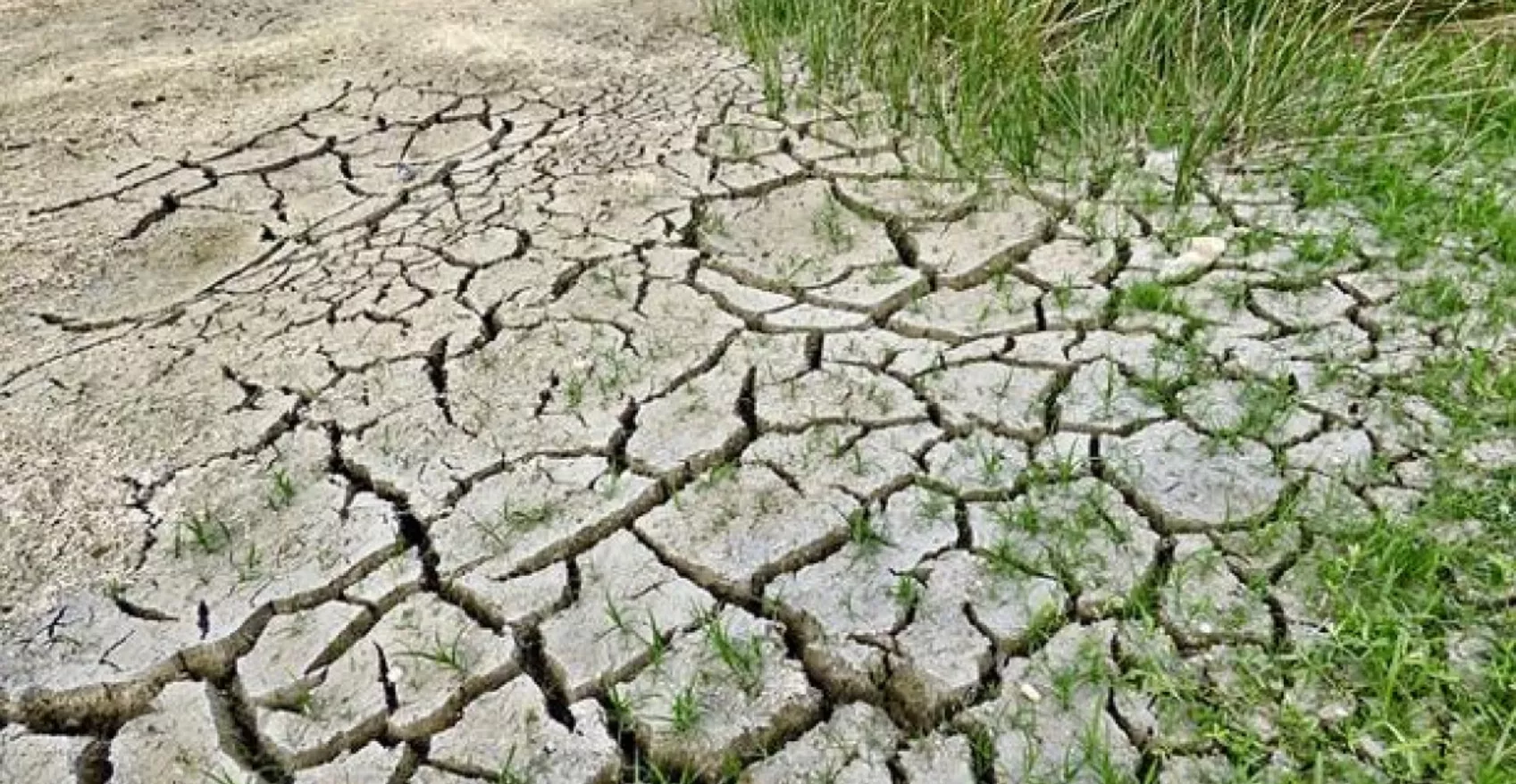 La degradación de los suelos es un fenómeno grave que pone en riesgo el recurso agua, los bosques y la alimentación.