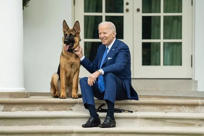 Uno-de-los-perros-de-Biden-implicado-en-varios-incidentes-en-la-Casa-Blanca