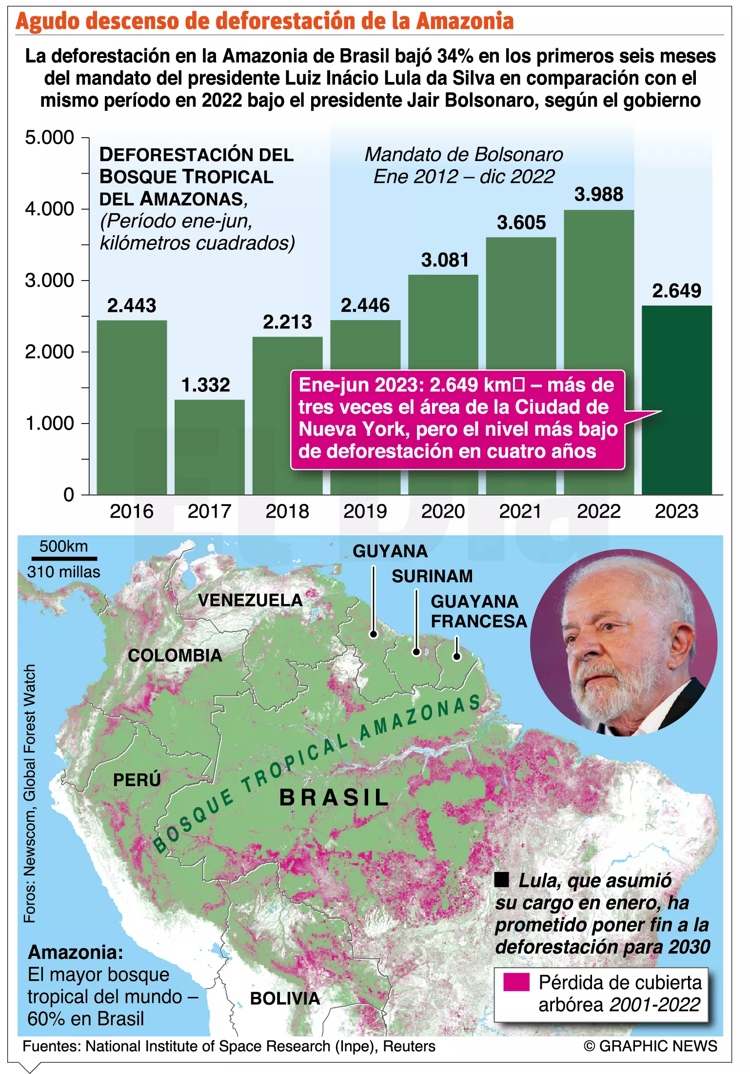 info-DEFORESTACION