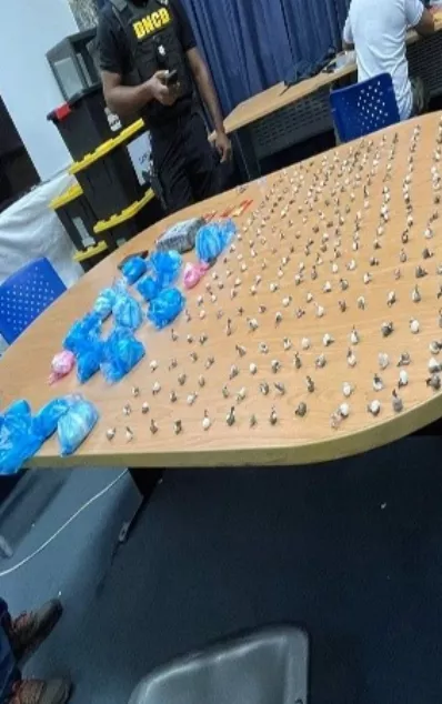Material incautado  a los dos detenidos de la red.