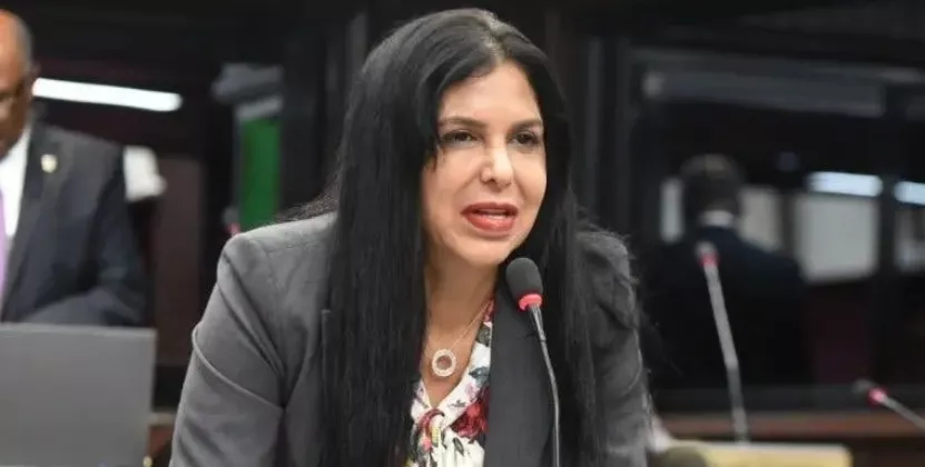 Diputada por la Vega del PRM, Rosa Amelia Pilarte.
