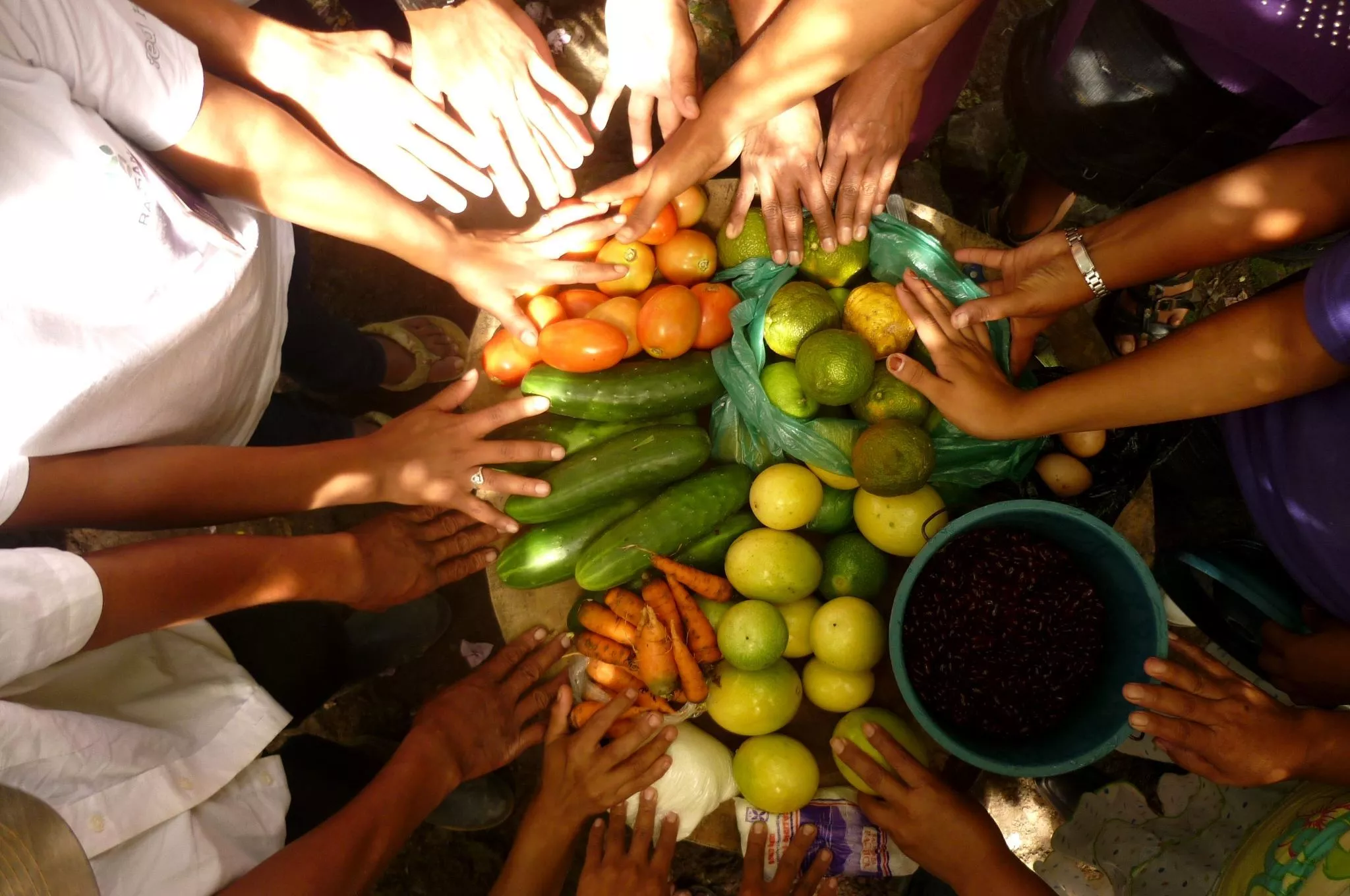 SEGURIDAD-ALIMENTARIA