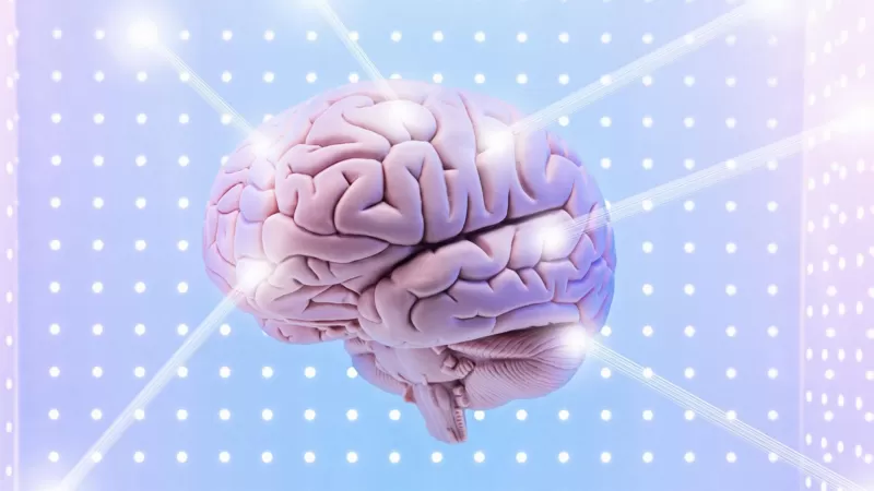 cerebro