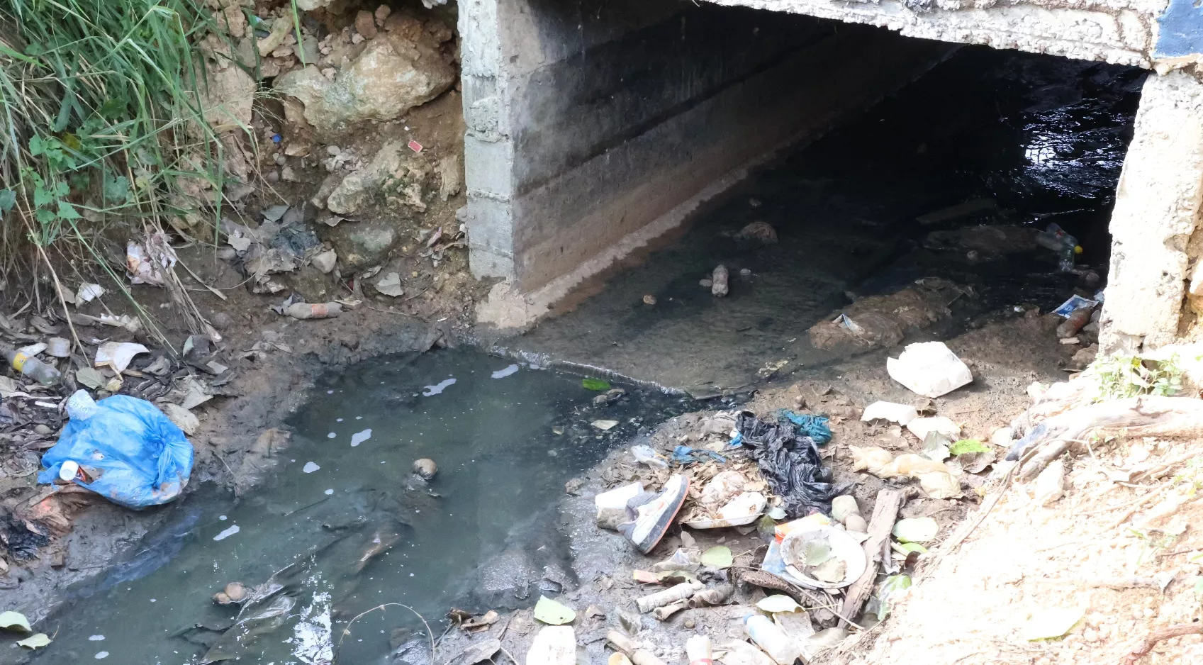 Zonas como La Zurza y Los Guandules tienen lugares con acumulaciones de agua que sirven para propagar el virus.  José Francisco
