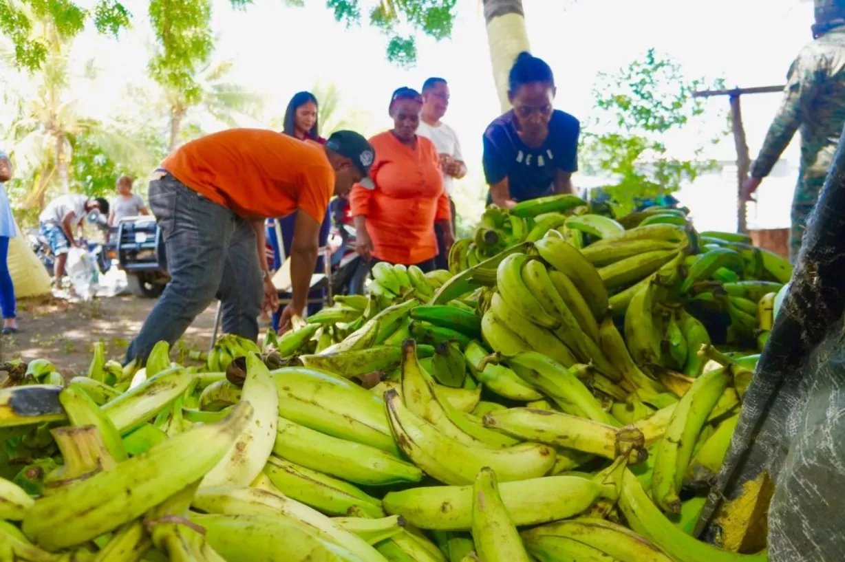 El productor  Miguel Peña dijo que están vendiendo plátanos en finca a  11 pesos  la unidad.