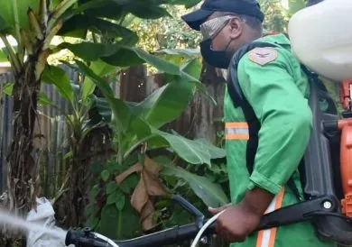 La fumigación impactó en varios   sectores de SDN.