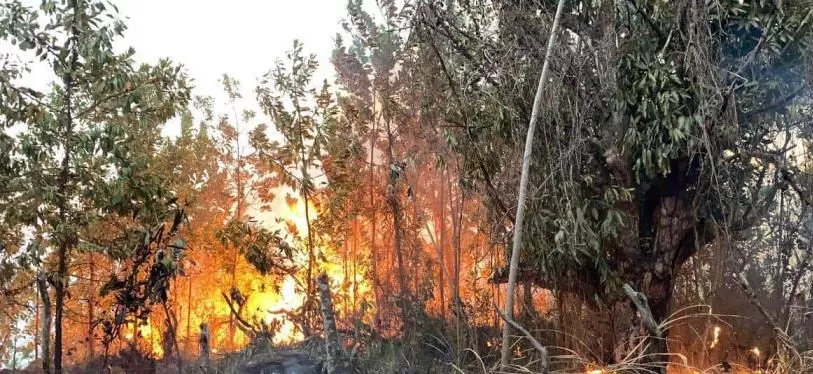 Fuego. Fuente Externa