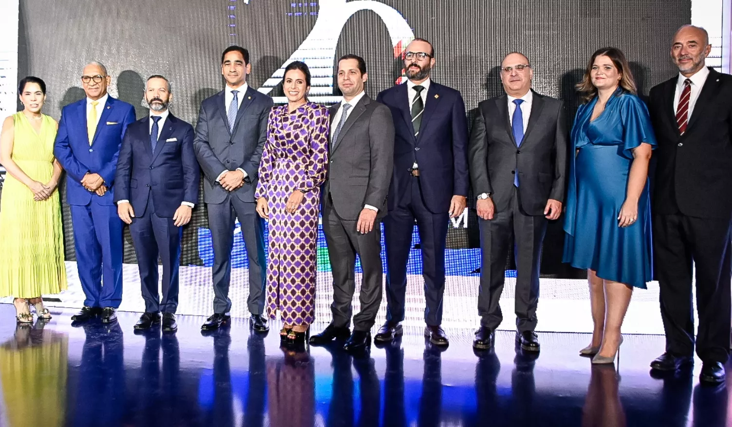 Francina Martes, Ervin Novas, Freddy Rossi, Francisco Elías, Laura Hernández, Ernesto Bournigal, Edwar Valdera, Samir Rizek, Eliane  Vilchez y  Fidelio Despradel.