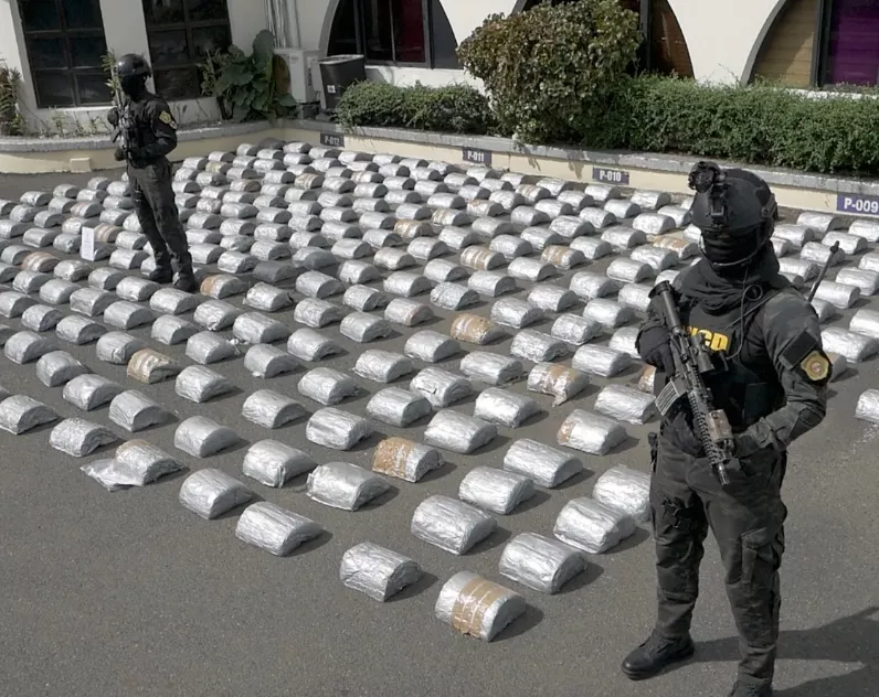 Más de dos mil libras de marihuana  fueron descomisadas.