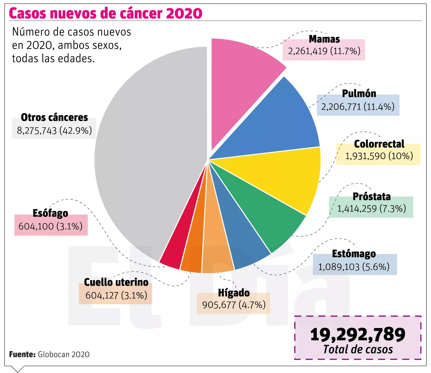 info-NUEVOS CASOS