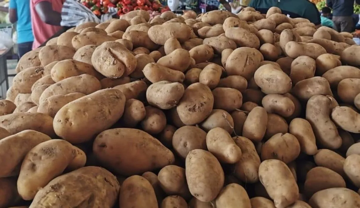 La libra de  papa en mercados del Gran Santo Domingo ronda  los 40 pesos.