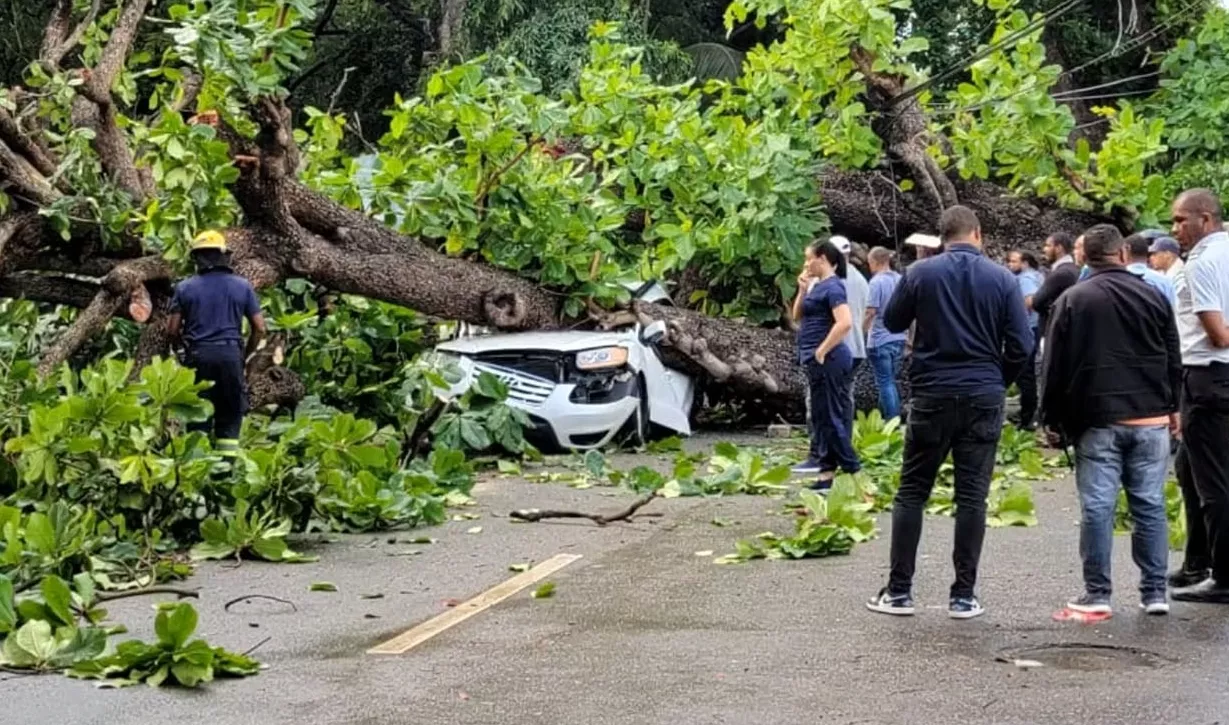 Noe Gómez falleció al caerle un árbol mientras conducía por la Ciudad Universitaria.