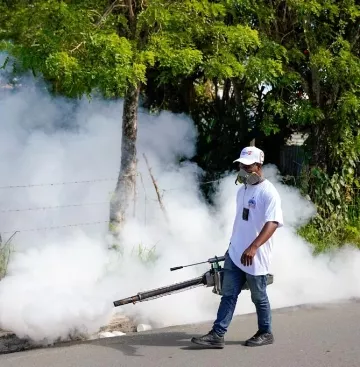 La fumigación está dirigida a controlar mosquitos.