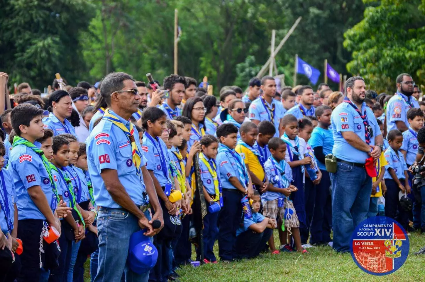 Scout