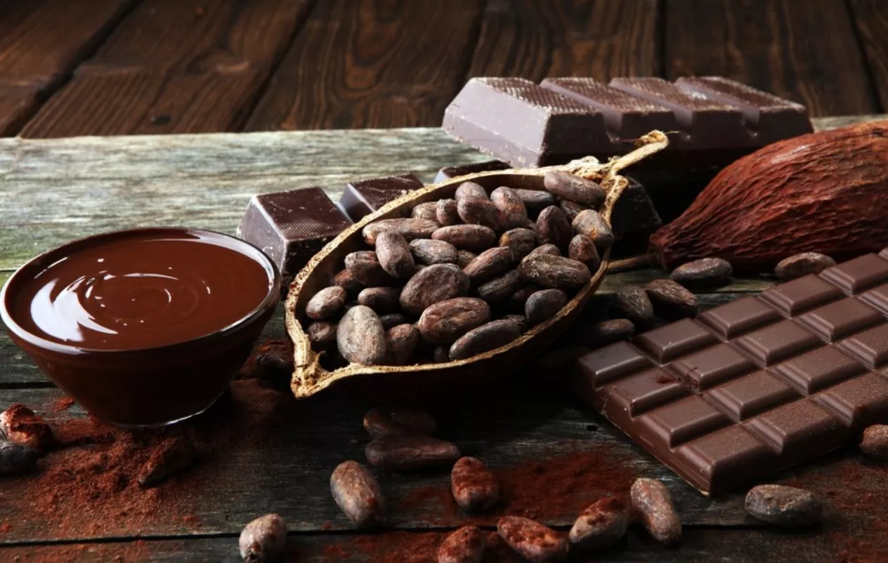 De las 36,236 fincas registradas, el 16.5  % está dedicada a la producción del cacao  orgánico.