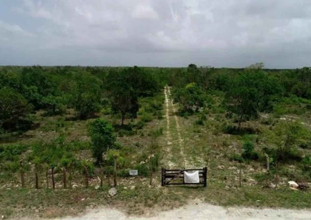 Terrenos donde se construiría el Aeropuerto Internacional de Bávaro. fuente externa