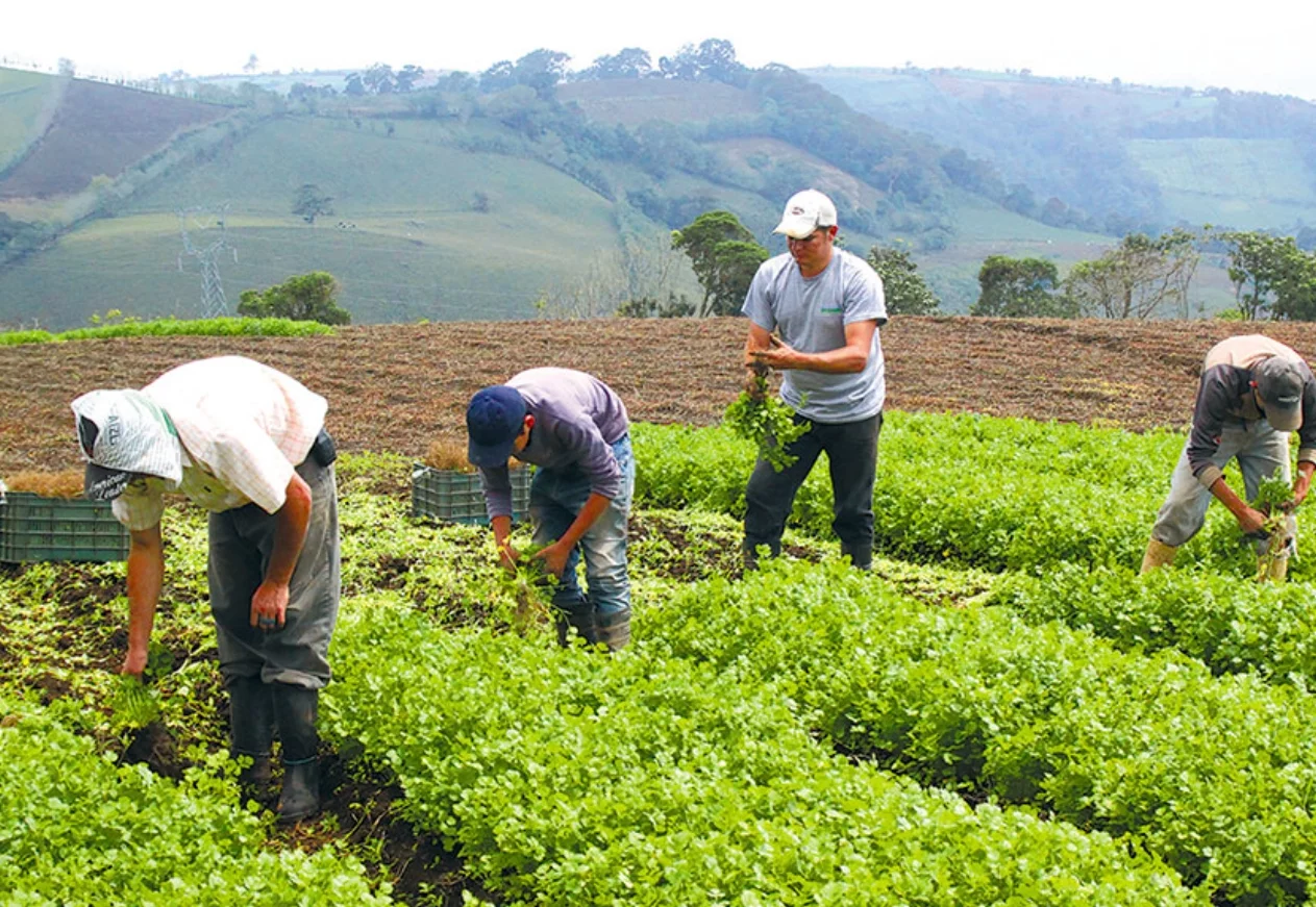 El cambio climático está  impulsando mejoras en la forma de producir en los campos.