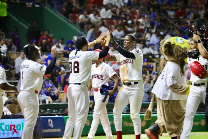 Leones-2-728×485
