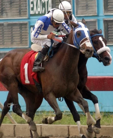CARRERA DE CABALLOS