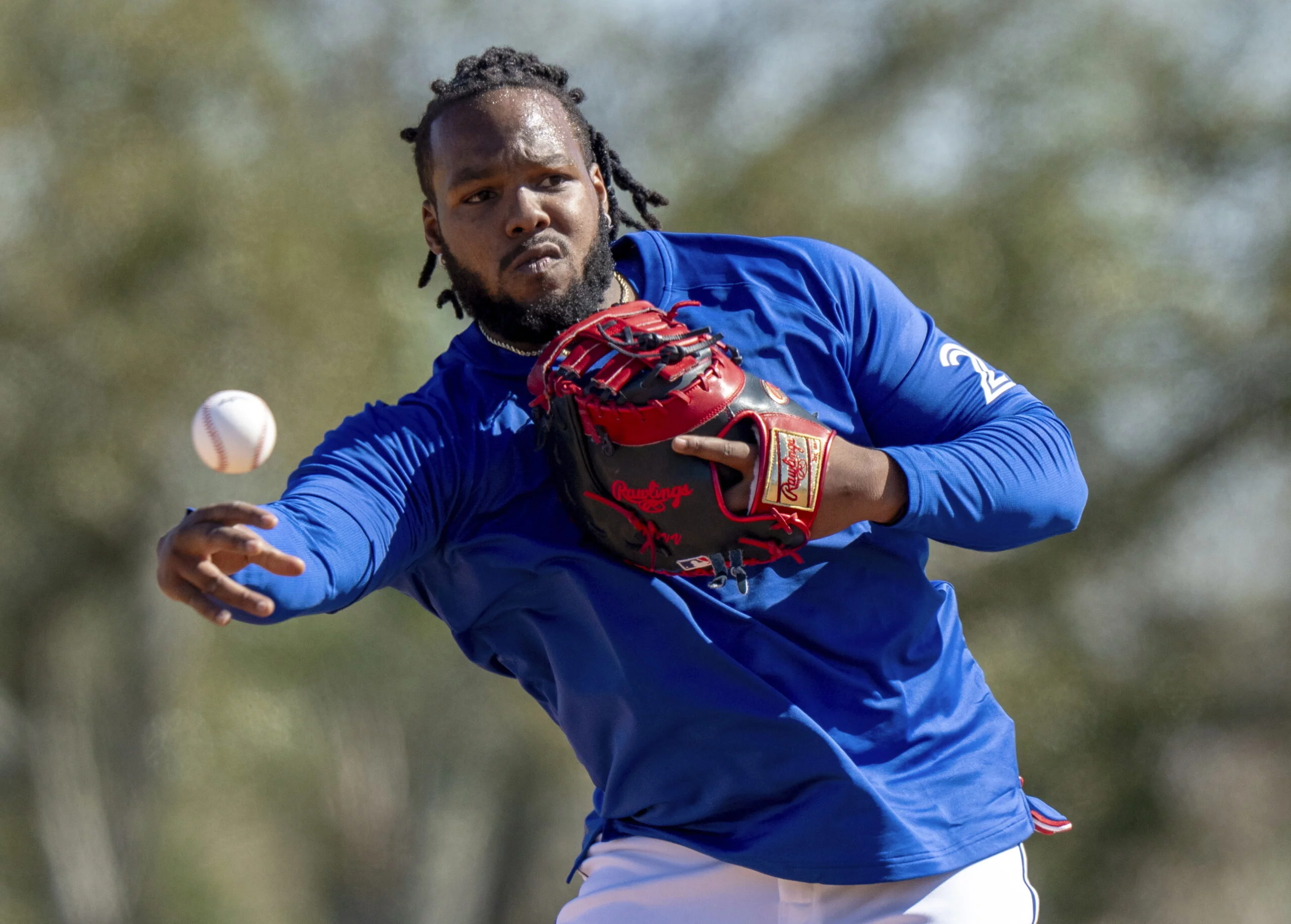 Blue Jays Baseball