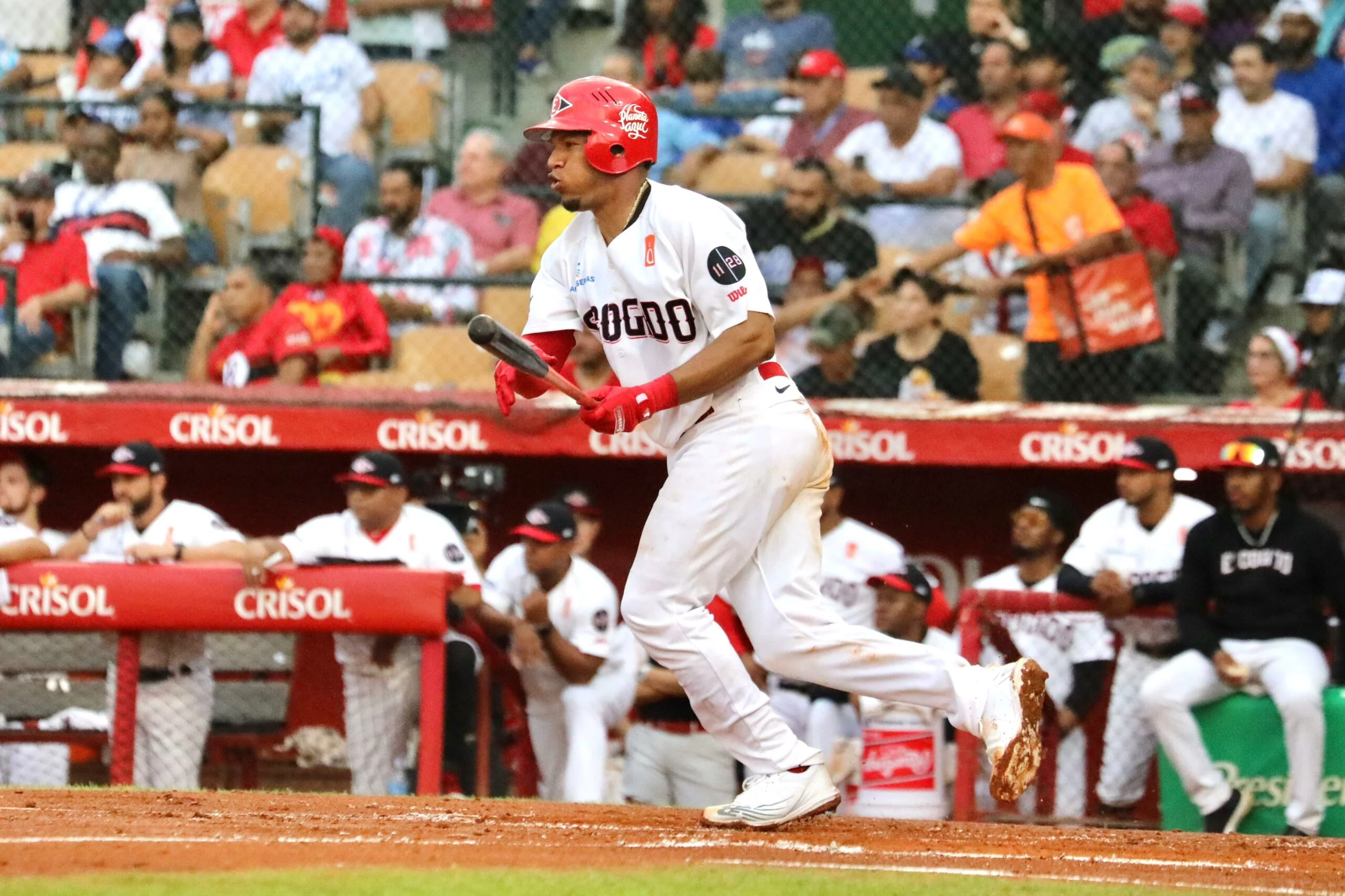 Pedro Severino 2023-24