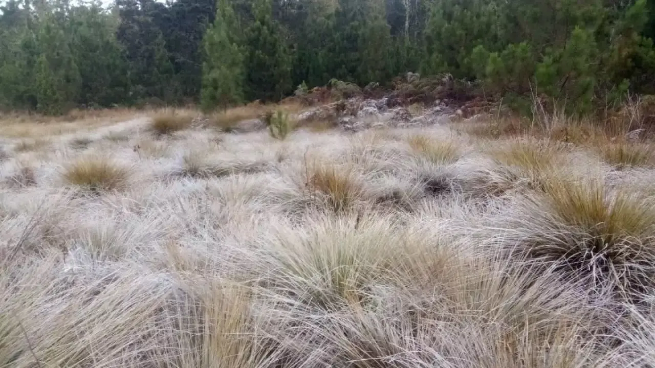 Valle-Nuevo