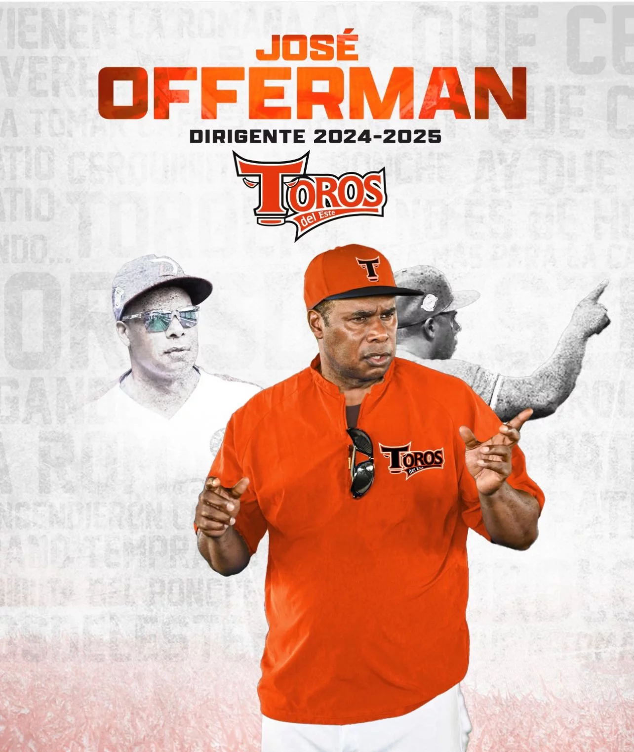 toros