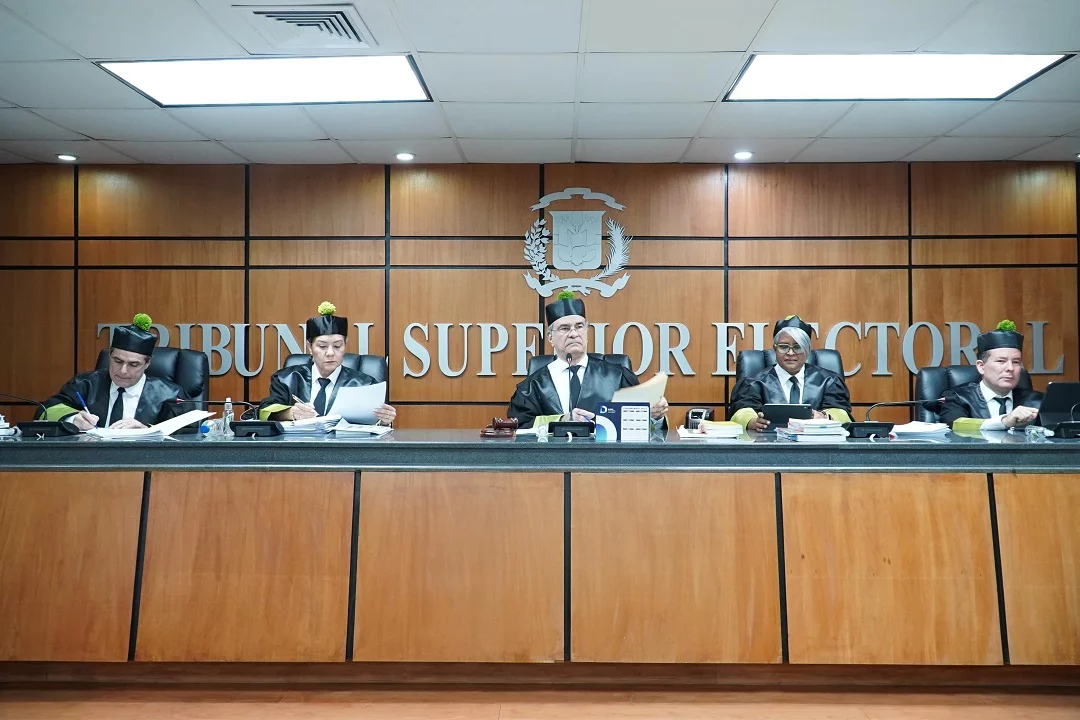 tribunal constitucional