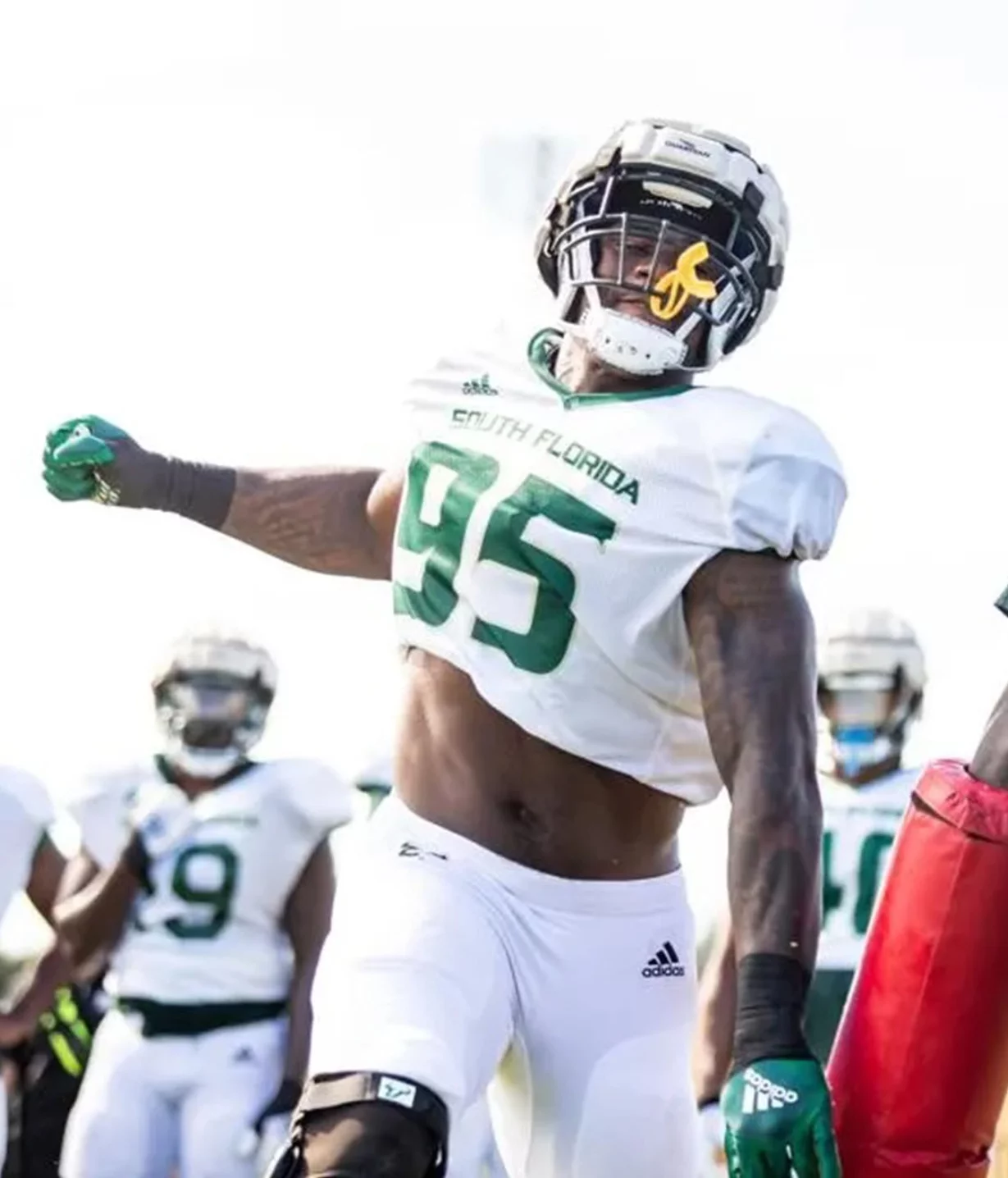 Bayron Matos podría convertirse en un  jugador importante en la exigente liga NFL.  Archivo