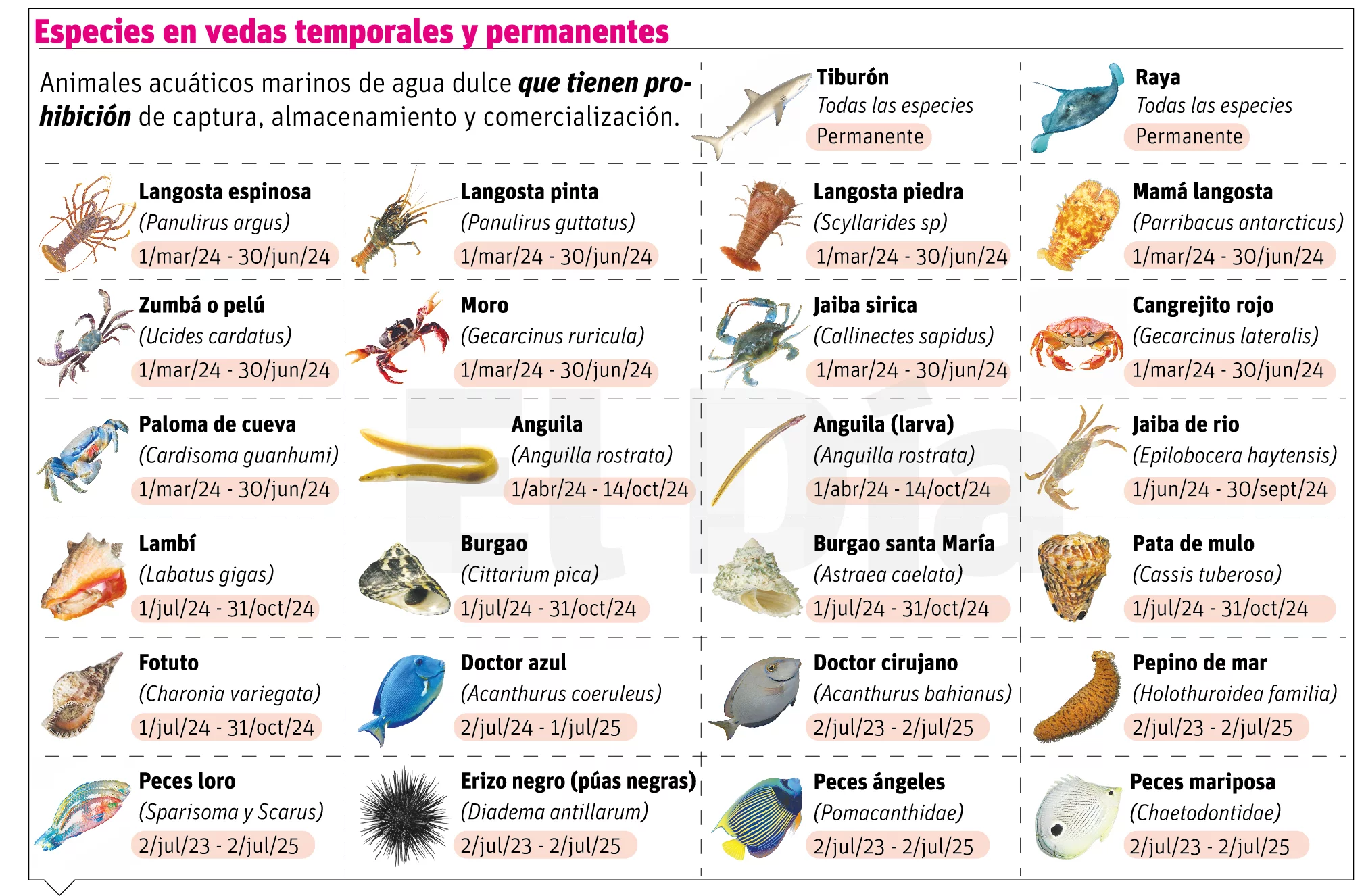 info-CALENDARIO VEDA