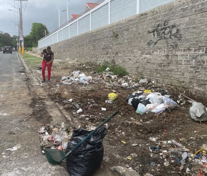 Al poco tiempo de recoger basura  en Villa Faro  habían echado.